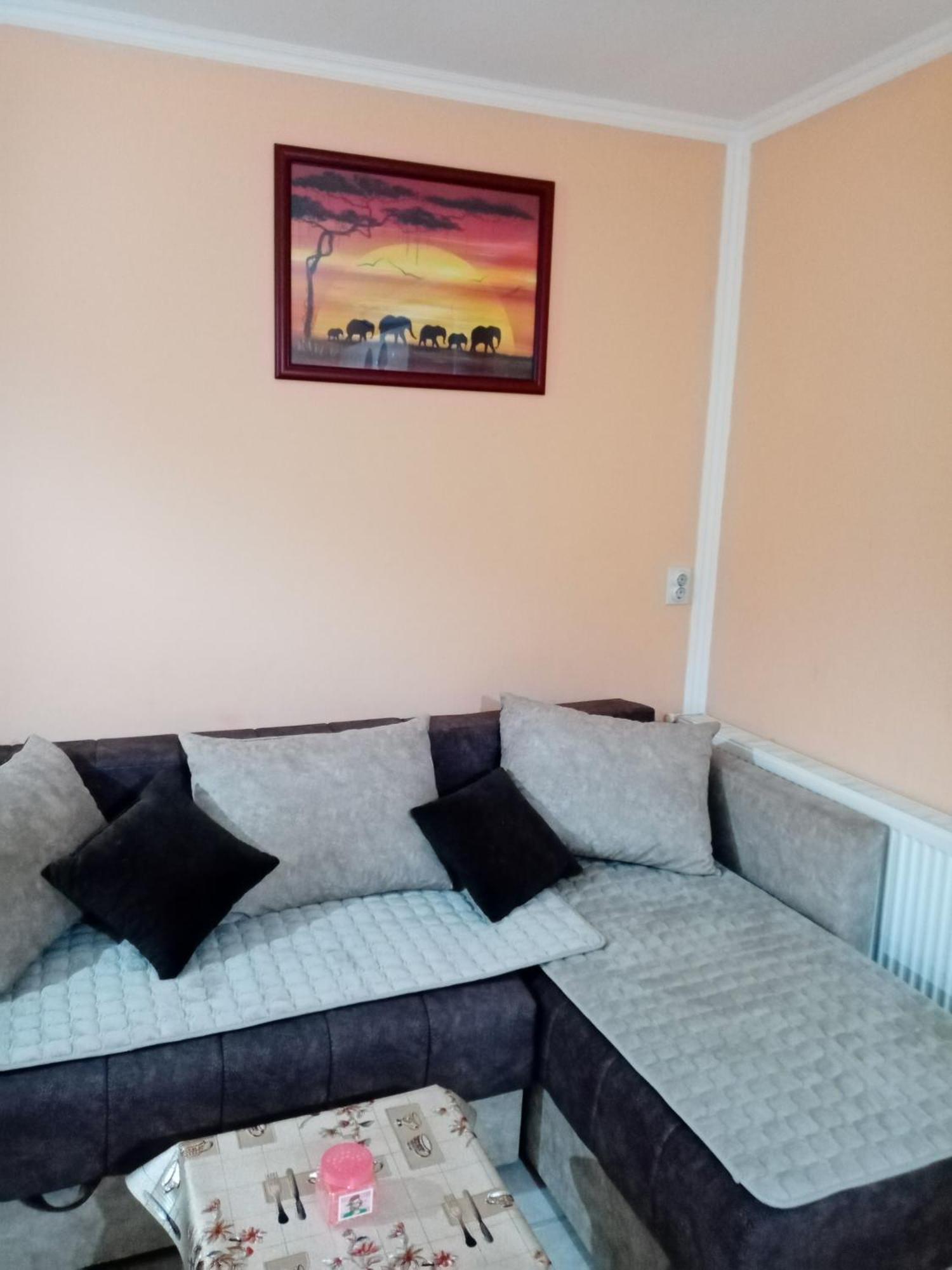 Milica Apartmani Vrdnik Exterior foto